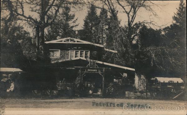 Petrified Forest Healdsburg California