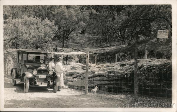 Women Inspecting The Queen of the Forest - Petrified Redwood Calistoga California