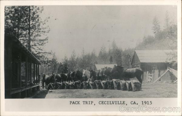 Pack Trip 1915 Cecilville California