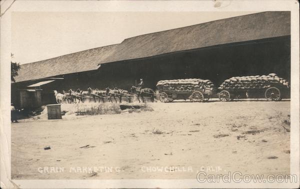 Crain Marketing Chowchilla California