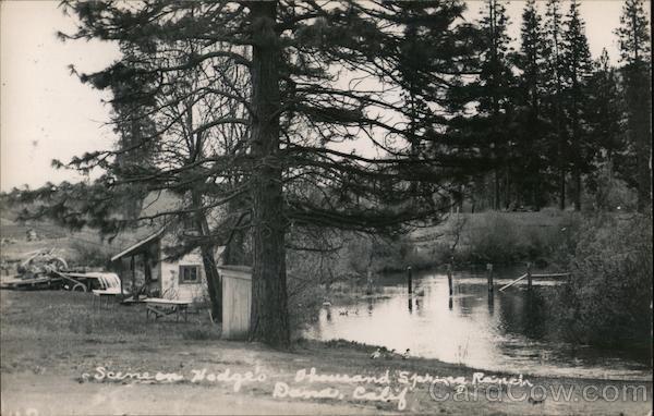 Scene on Hodge's Thousand Spring Ranch Dana California