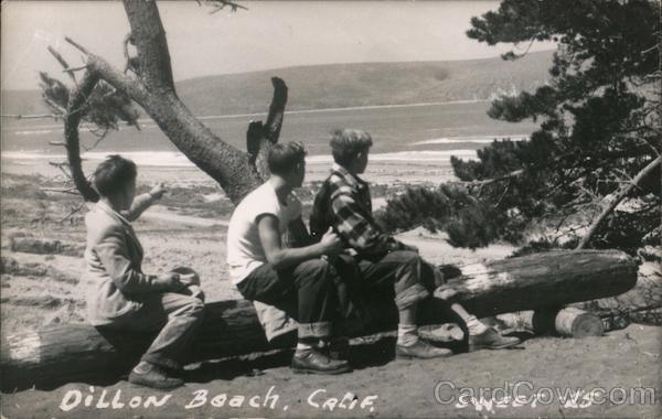 Three Boys on a Log Dillon Beach California