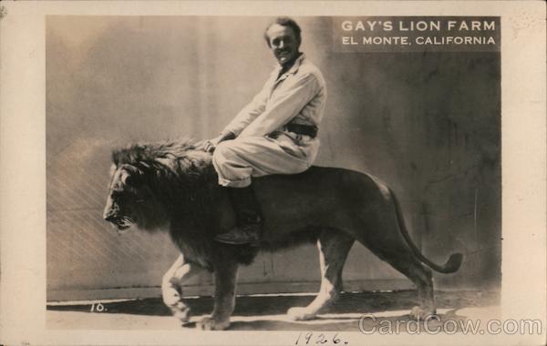 Mr. Gay on Pluto, Gay's Lion Farm El Monte California