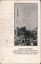Bear Flag Pole Postcard