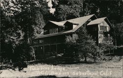 Twin Firs Lodge Postcard