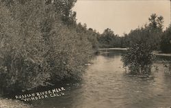 View of Russian River Postcard