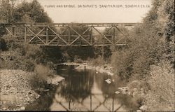 Flume and Bridge. Dr. Burke's Sanitarium Postcard