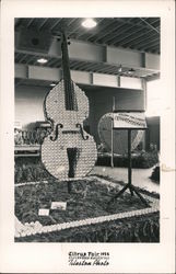 Citrus Fair 1954 Cello Made of Fruit Postcard