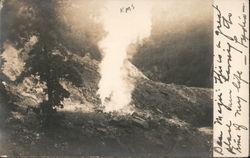 Geyser on a mountainside Postcard