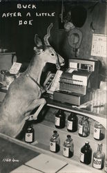 Buck after a little doe Postcard