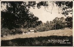 Los Guilicos Warm Springs From Picnic Grounds Postcard