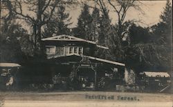 Petrified Forest Postcard