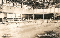 Large Plunge Postcard