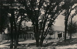 Haven Cottage Postcard