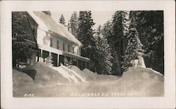 Calaveras Big Trees Hotel Postcard