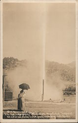 The Hot Water Geyser at Calistoga California J. C. Adams Postcard Postcard Postcard