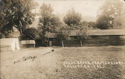 Shady Brook Farm Resort Calistoga, CA Postcard Postcard Postcard