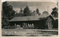 Cambria Pines Lodge "Where Dreams Come True" Postcard