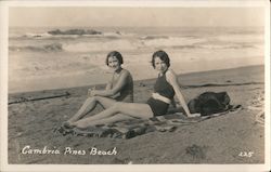 Cambria Pines Beach California Postcard Postcard Postcard