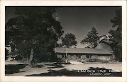 Cambria Pine Lodge Postcard