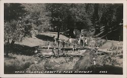 Ebbetts Pass Highway Postcard