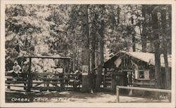 Corral at Camp Mather near Yosemite Groveland, CA Pitts Postcard Postcard Postcard