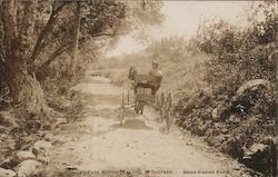 Carriage Ride, Stanley Park Resort Carpinteria, CA Brock-Higgins Postcard Postcard Postcard