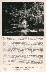 The legend of the World Famous Weeping Eucalyptus tree at Carlsbad Hotel by the sea. Postcard