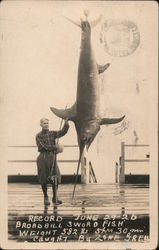 Record Broadbill Swordfish Postcard