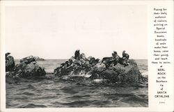 Seal Rock on the southern tip of Santa Catalina Postcard