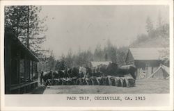 Pack Trip 1915 Postcard