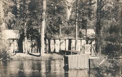 Fish Hatchery near Chester Postcard