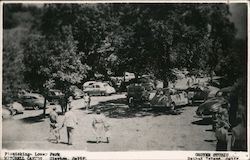 Picnicking at Lower Park, Mitchell Canyon Postcard