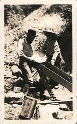 Souvenir Sluicing Gold Postcard