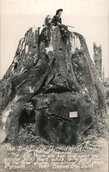 The Del Norte Wonder Stump of Eternal Redwood Crescent City, CA Art-Ray Postcard Postcard Postcard