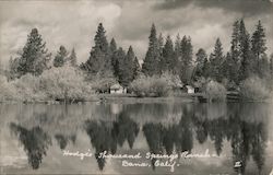 Hodge's Thousand Springs Ranch Dana, CA II Postcard Postcard Postcard