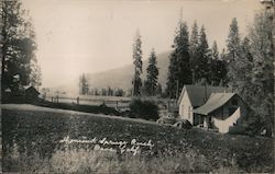 Thousand Springs Ranch Dana, CA Postcard Postcard Postcard