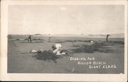 Digging for Giant Clams Postcard