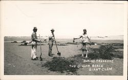 Buried Treasure - Giant Clam Postcard