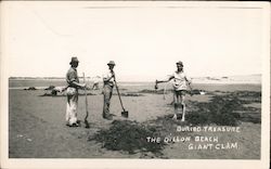 Buried Treasure - Giant Clam Dillon Beach, CA Postcard Postcard Postcard