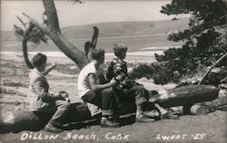 Three Boys on a Log Postcard