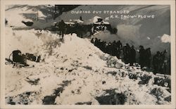 Digging out stranded R.R. Snow Plows Donner Summit California Postcard Postcard Postcard