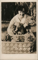 Gay's Lion Farm Postcard