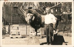 Louis Roth & Leo - Goebel's Lion Farm Postcard