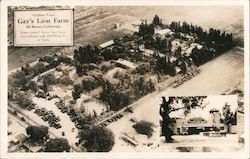 Airplane View - Gay's Lion Farm Postcard