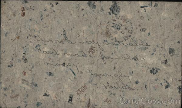 Macerated US Money Postcard Macerated Money & Stamps