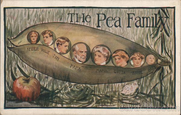 The Pea Family The Whole Family