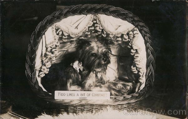 H.P. Scott Dogs' Outfitter London England Advertising