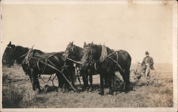 Man plowing in field with 4-horse plow Farming