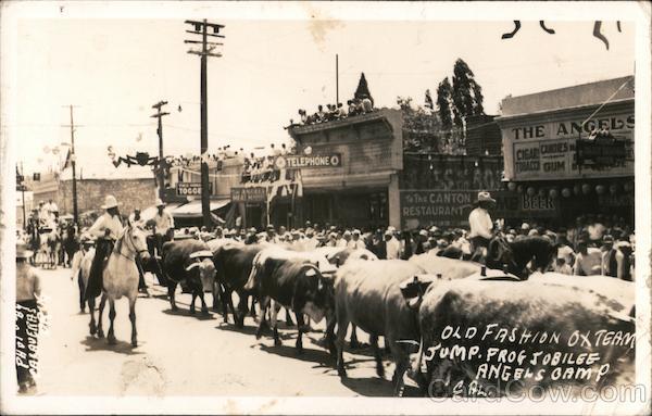 Old Fashion Ox Team Jumping Frog Jubilee Angels Camp California
